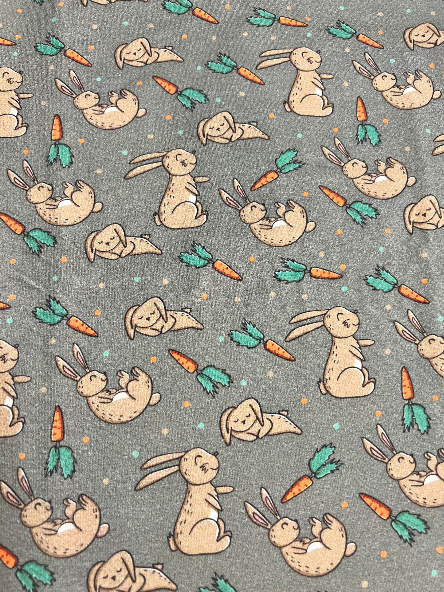 Conjunto manga larga rabbit