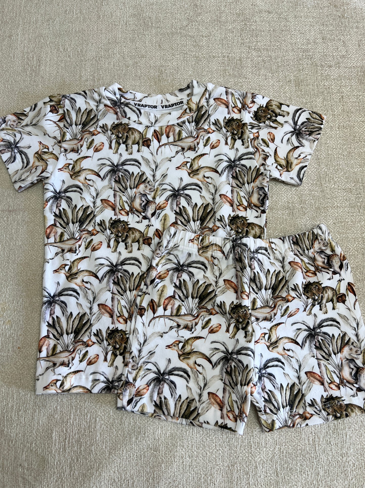 Conjunto Short Y Remera  Dino Acuarela