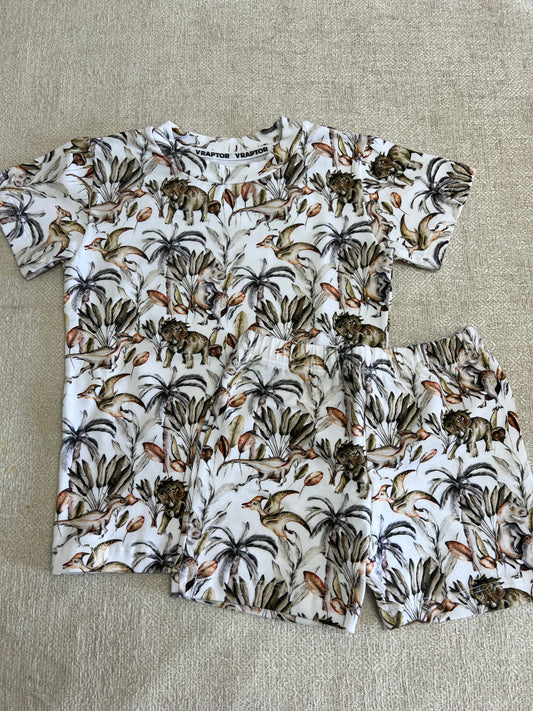 Conjunto Short Y Remera  Dino Acuarela