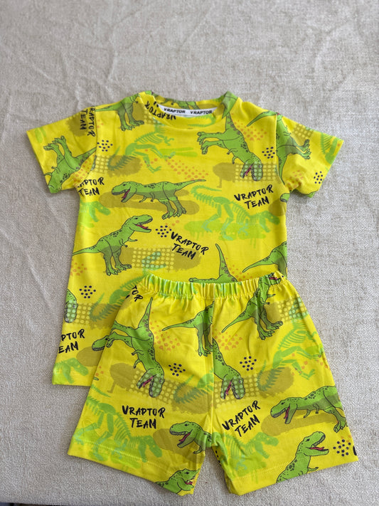 Conjunto Short Y Remera Dino