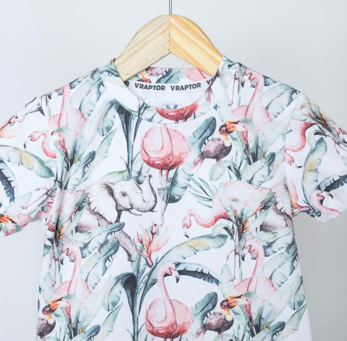 Conjunto Short Y Remera Flamencos