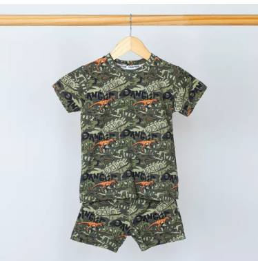 Conjunto Short Y Remera  Dino Danger