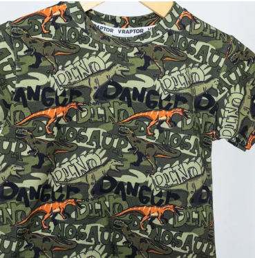 Conjunto Short Y Remera  Dino Danger